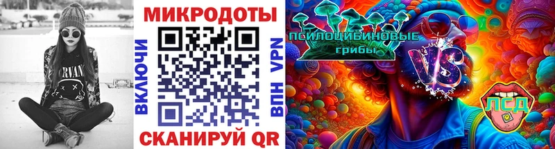 Псилоцибиновые грибы прущие грибы  Рыбное 